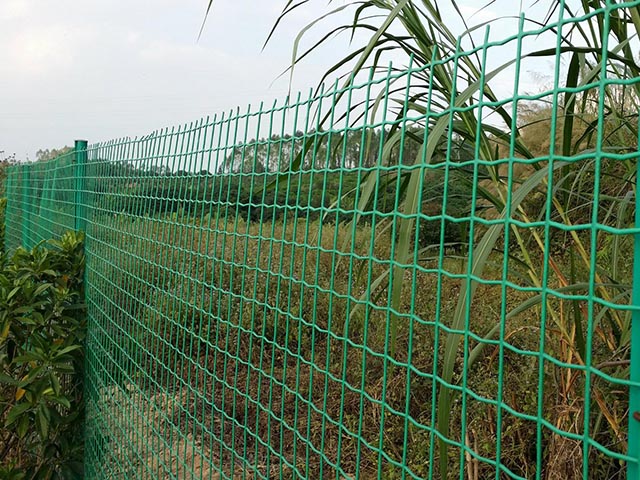 荷兰网 荷兰网